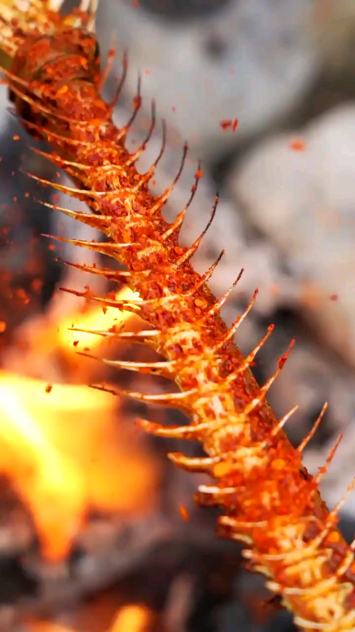 这鱼刺都能烤吃吗,是不吃它一定能补钙呀?