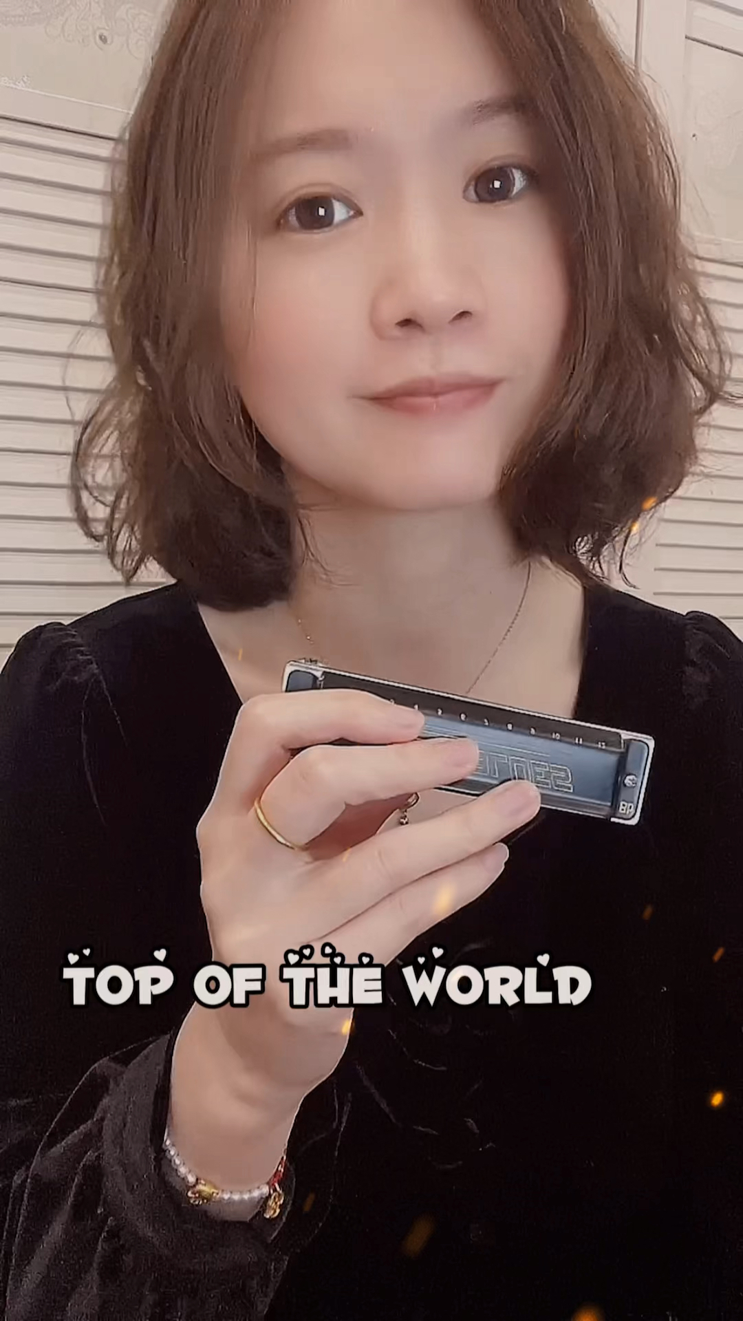 布鲁斯口琴#topoftheworld