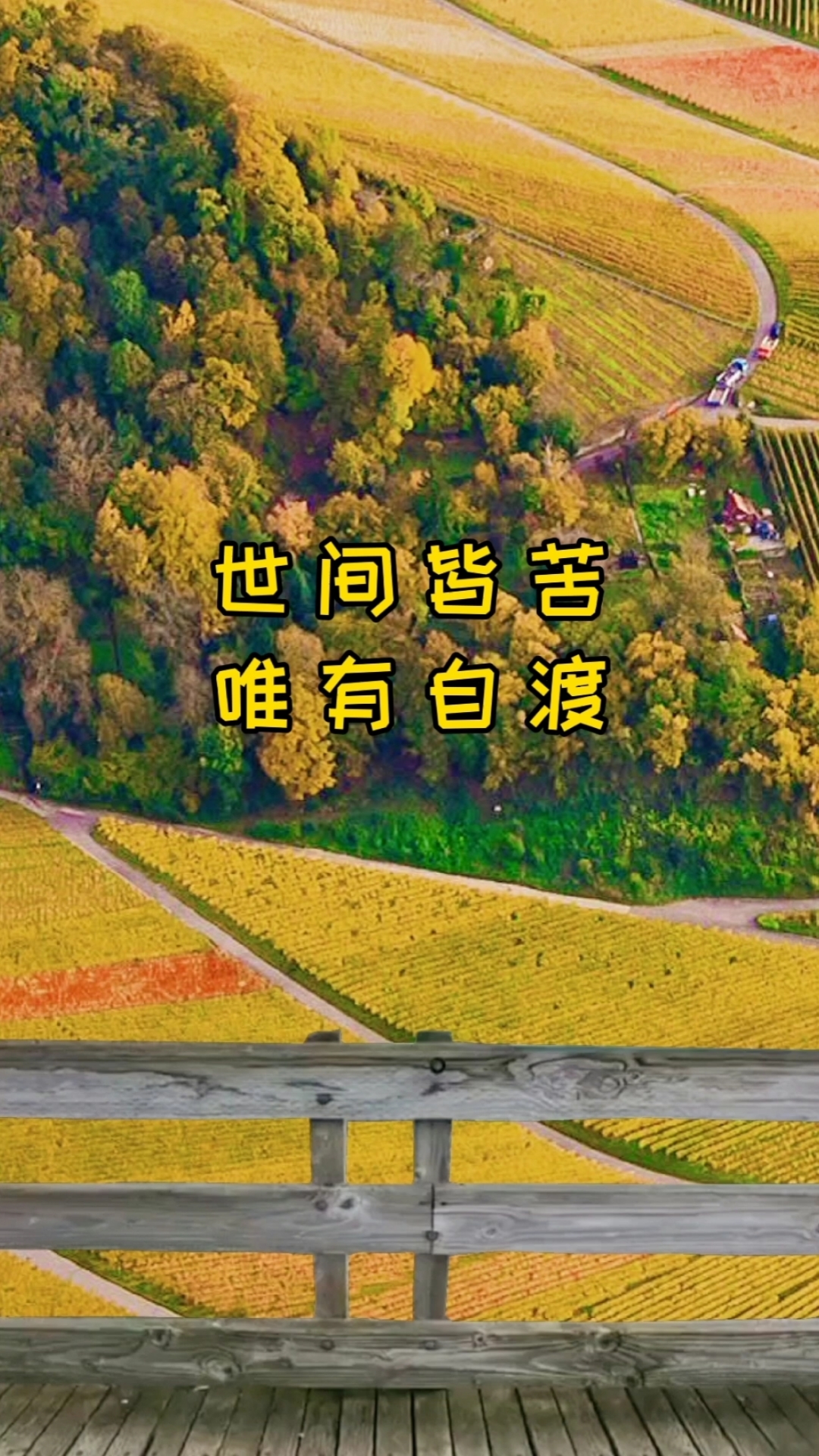 世间皆苦,唯有自渡#创业励志