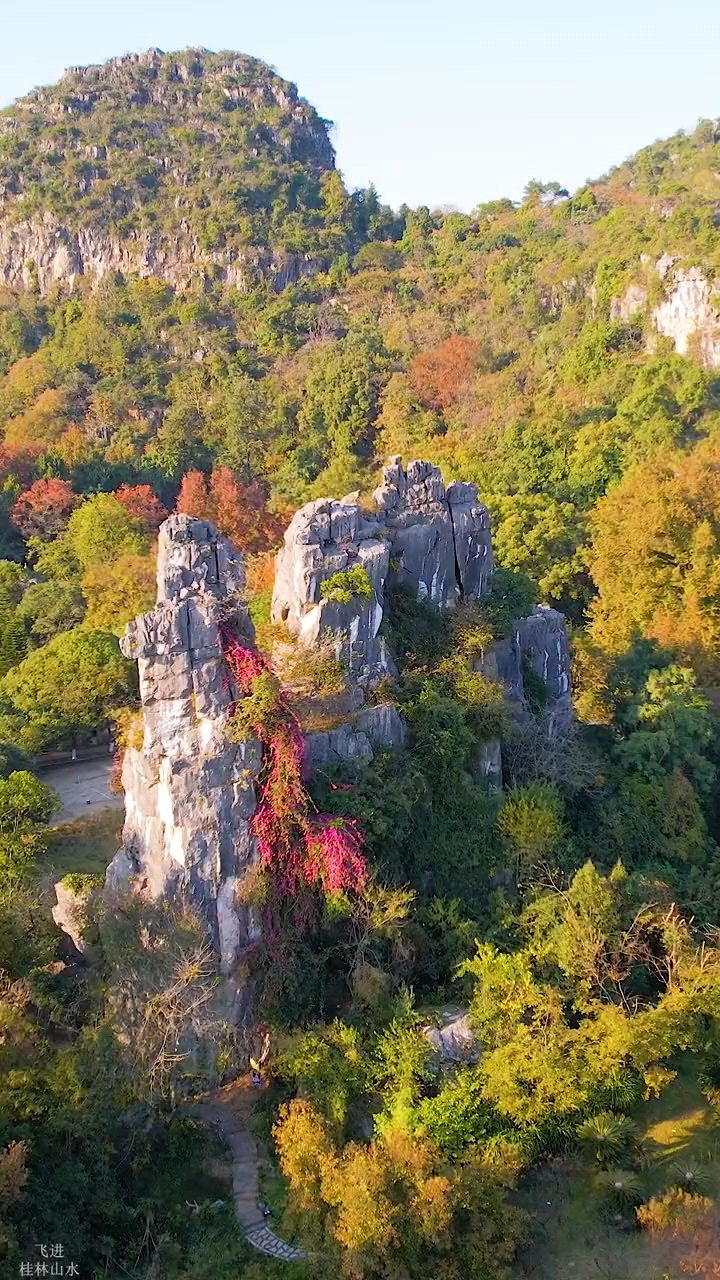 七星公园骆驼峰图片