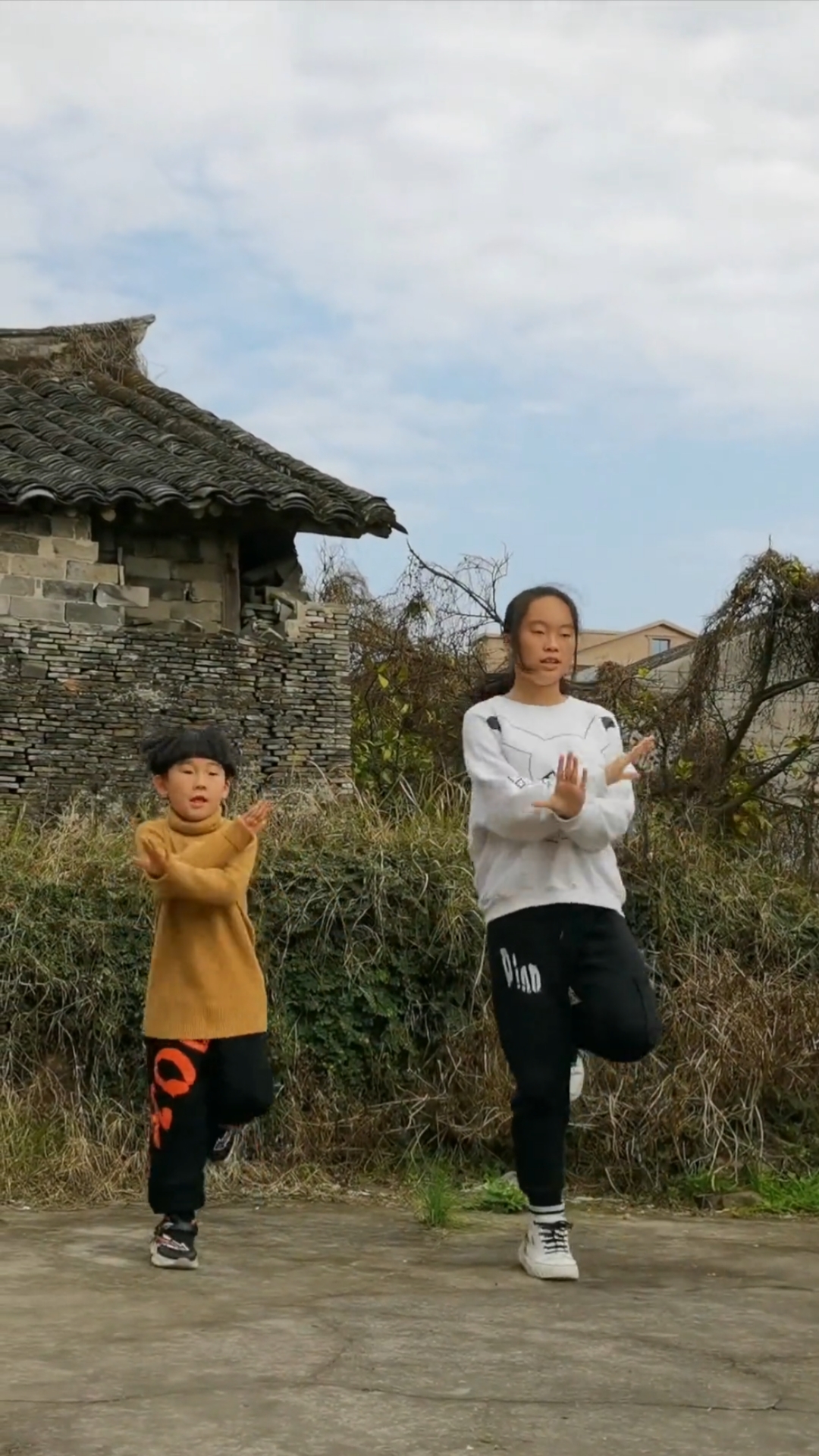 舞蹈一起长大一起玩耍姐弟