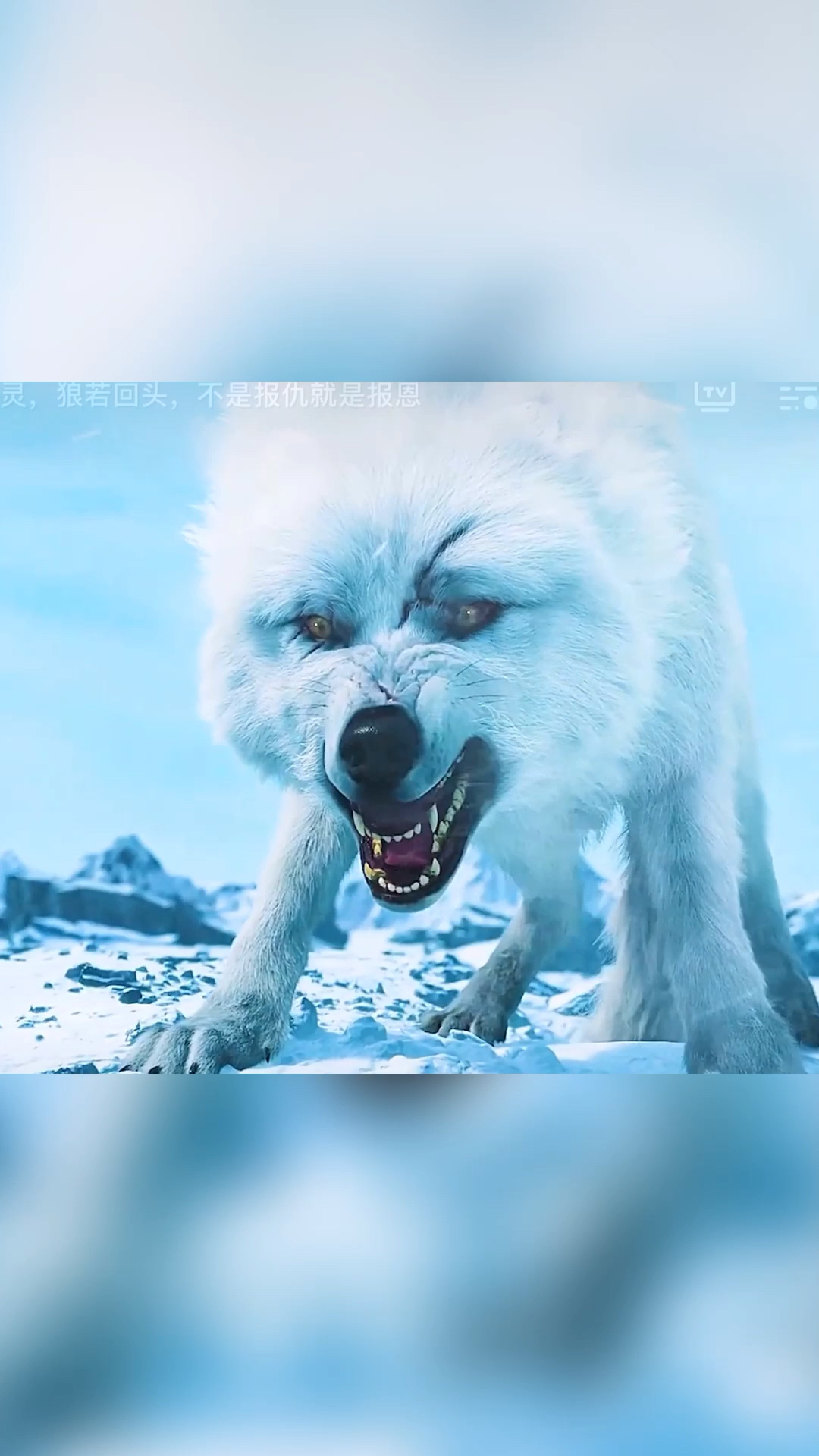 狼回头必报仇