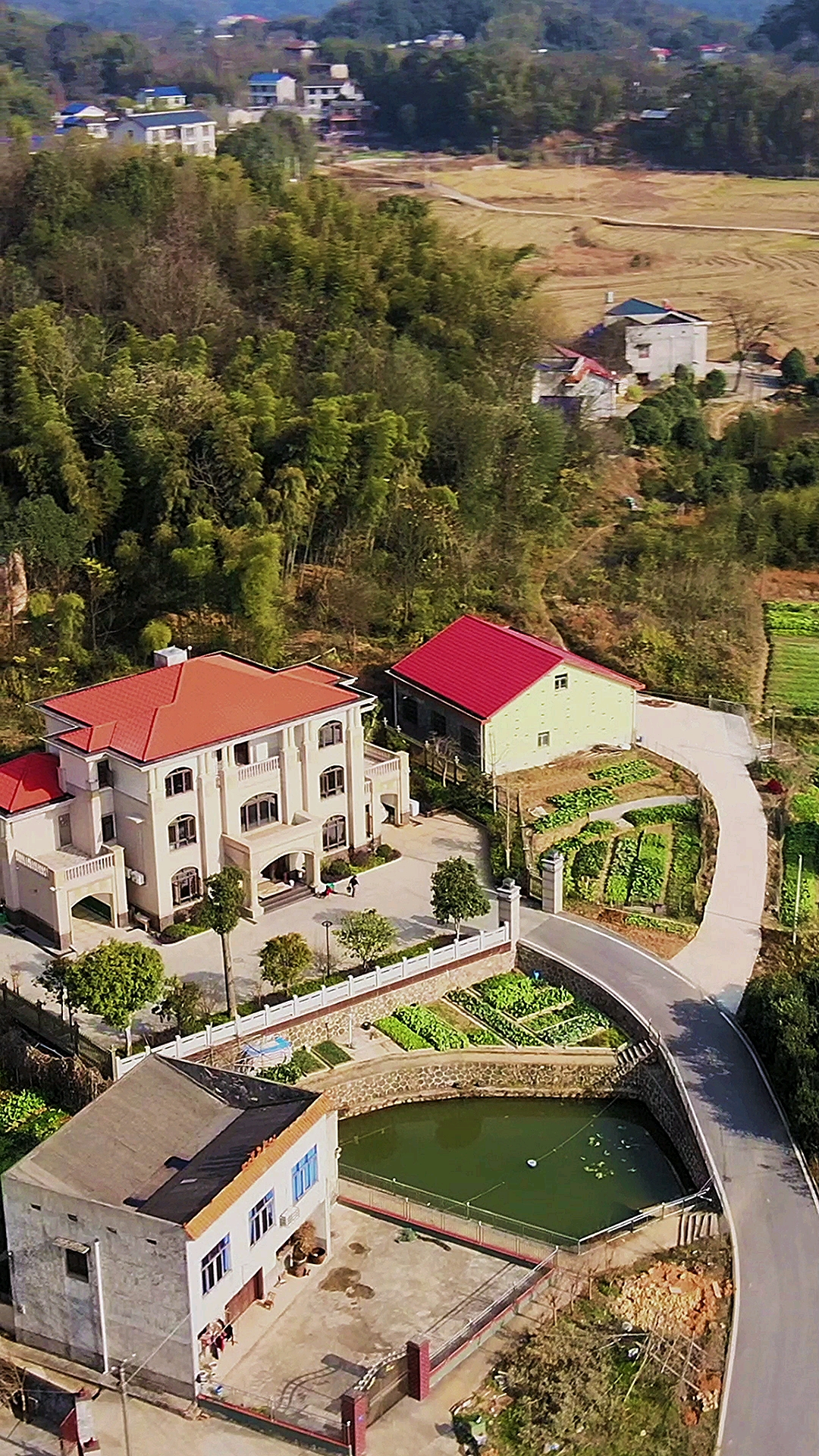 农村自建房#后有靠山前有聚宝盆,难得的建房好位置,看这房子面积静换