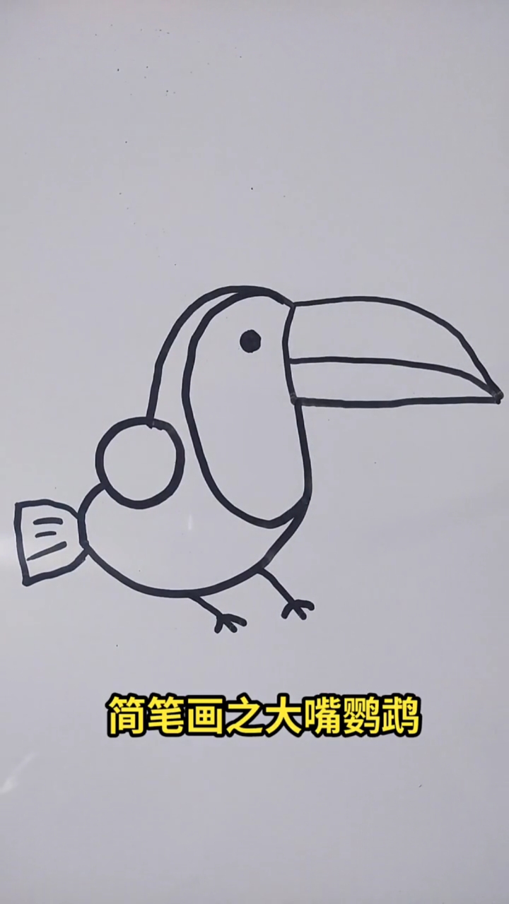 画画原来如此简单#简笔画之大嘴鹦鹉的画法