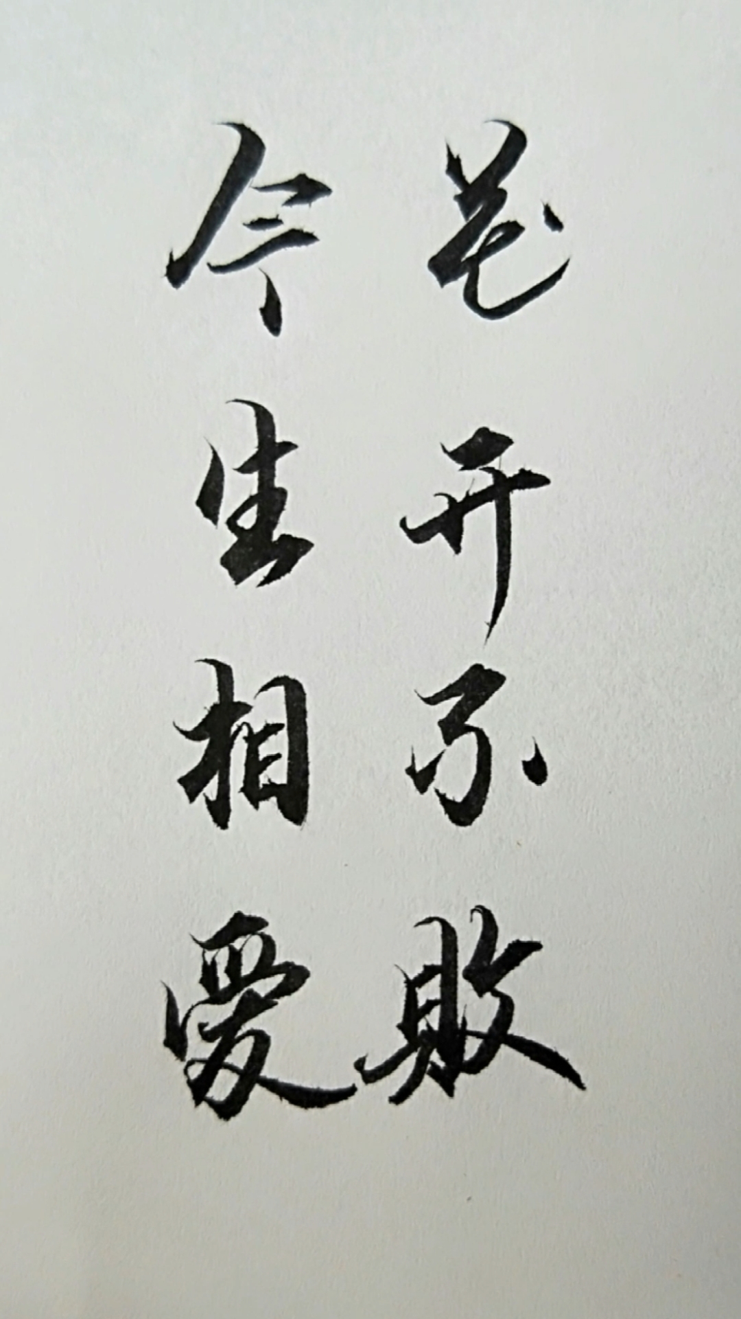 军山写字今生相爱78花开不败