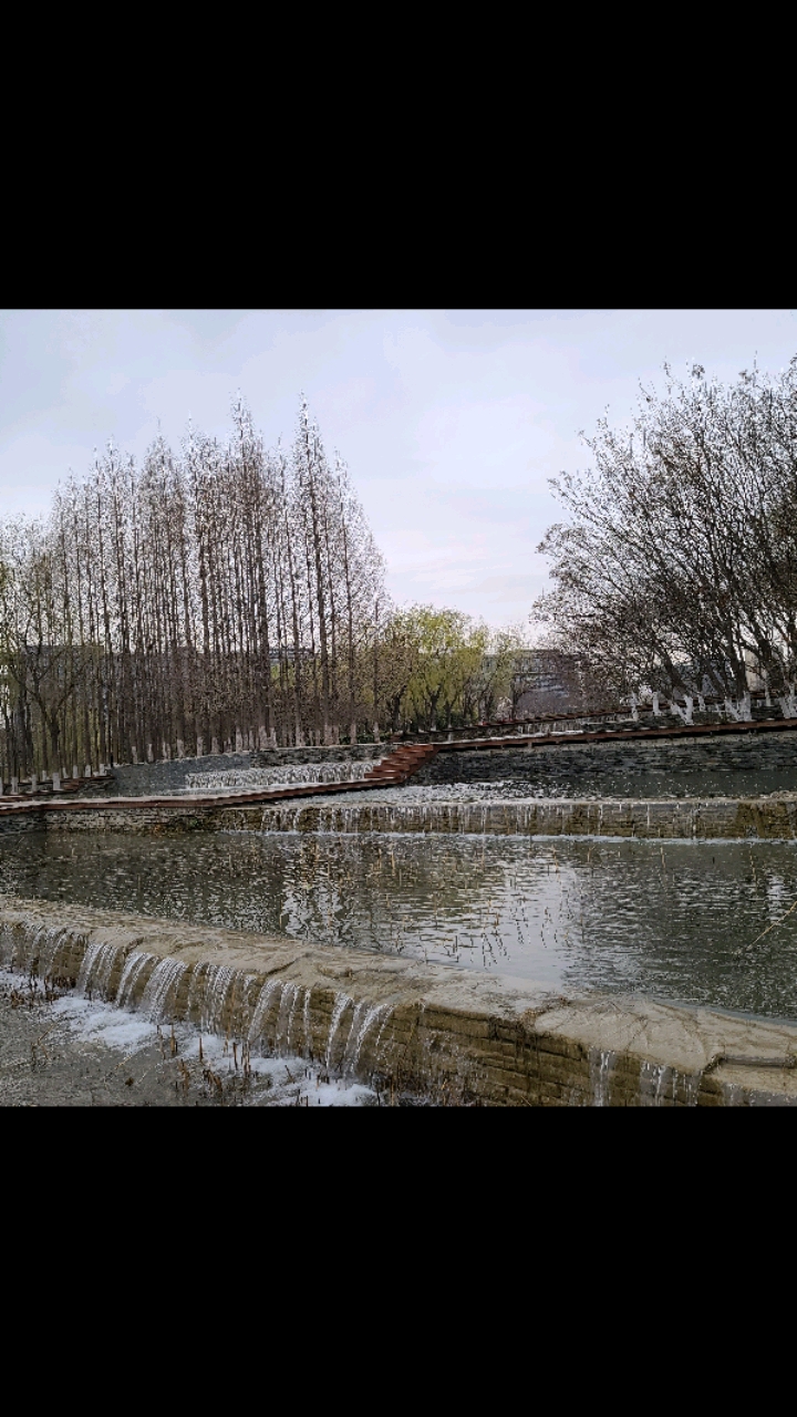 春到任城湿地公园