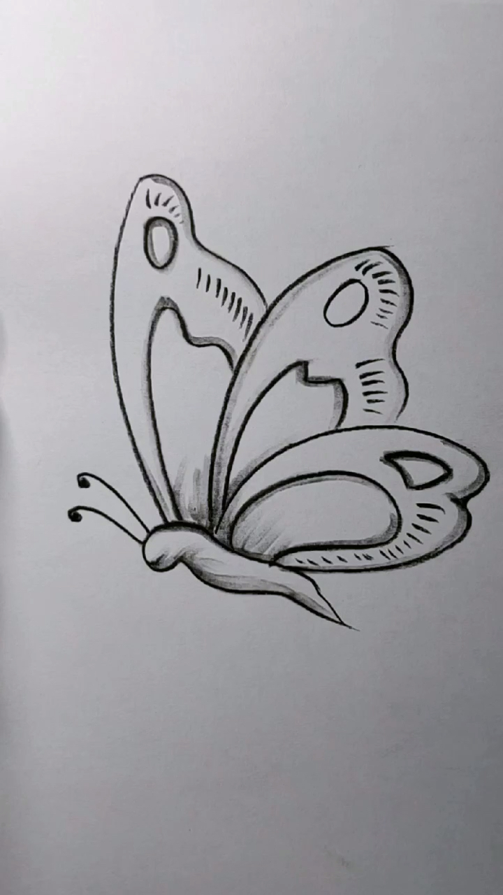 蝴蝶怎样画漂亮图片