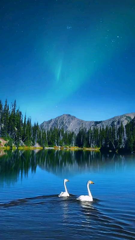 唯美意境#一山一水一云天,极光飞逝秒炊烟,白鹅本是凡间客,此时已是