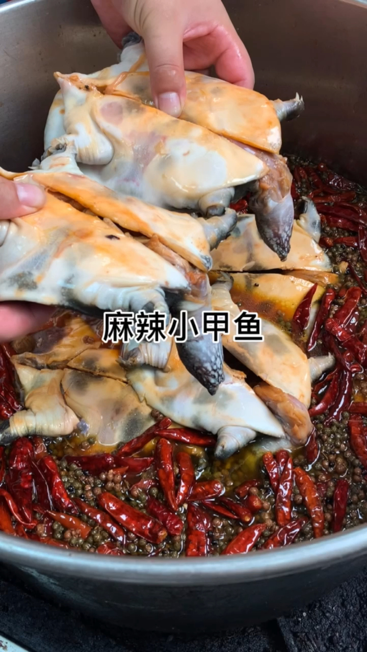 麻辣甲鱼#头一次吃这个,麻辣爽口这味还不孬类