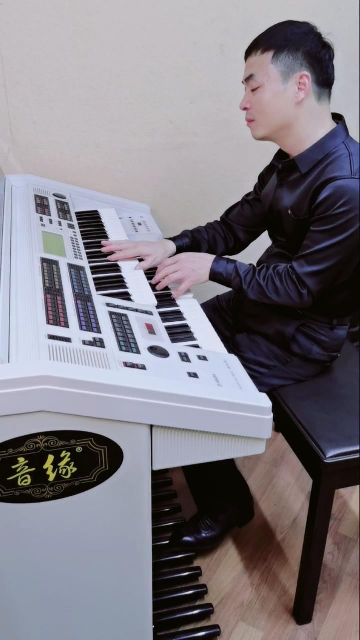 拉德斯基进行曲双排键演奏