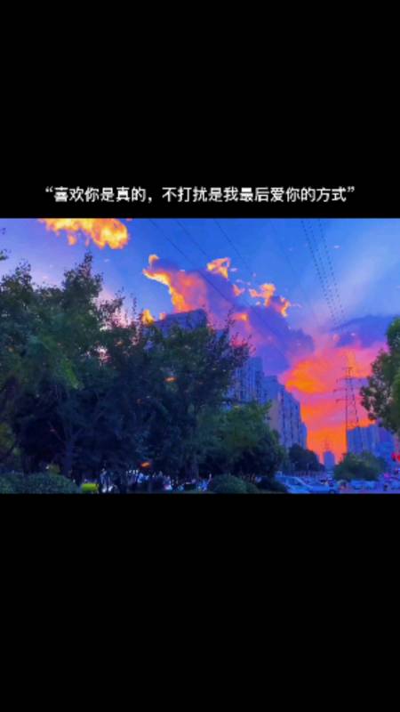 文案#"喜欢你是真的,不打扰是我最后爱你的方式"