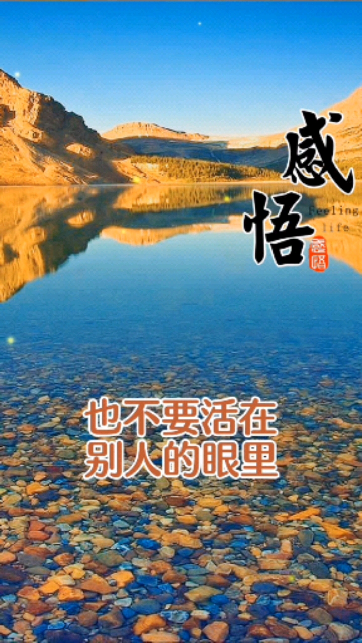 做人无需人人理解,但求自己问心无愧!-度小视