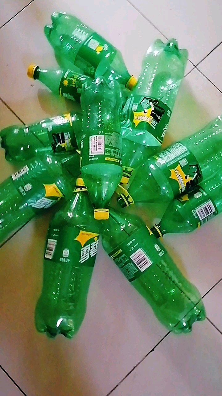 废物利用#雪碧瓶大变身