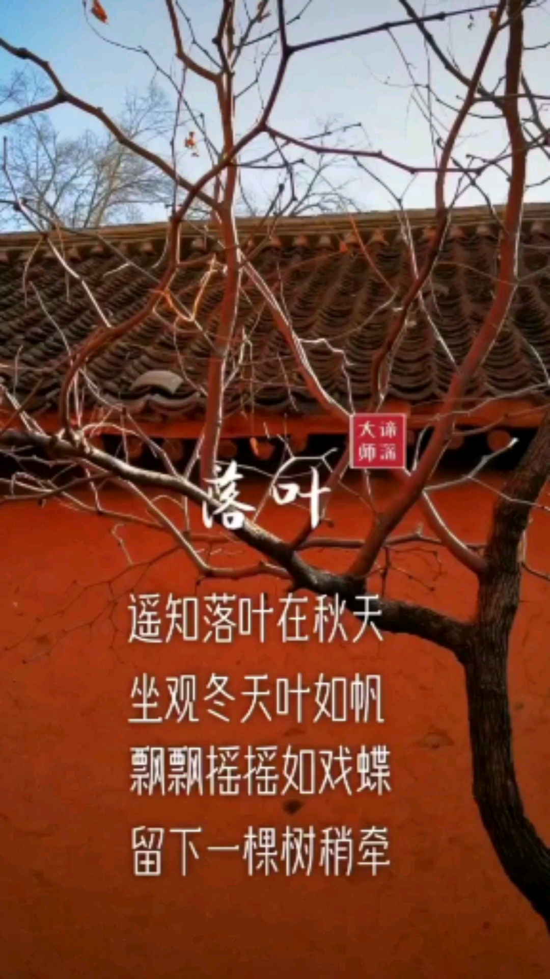 谛深大师诗摘#谛深大师诗摘《落叶》:遥知落叶在秋天,坐观冬天叶确