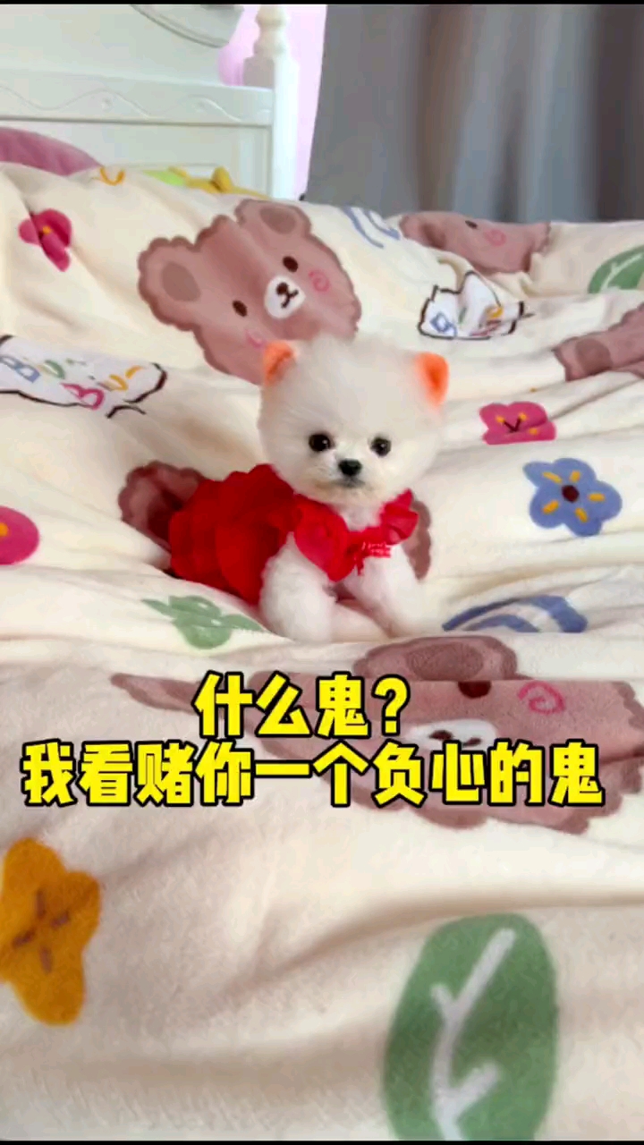 家有萌宠#哎呦,来了个稀客啊