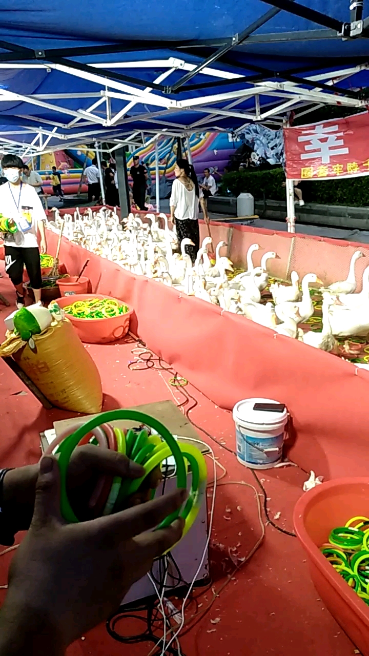 我的旅行日记#开心套大鹅,花了20元啥子都没套到!开心了一下!