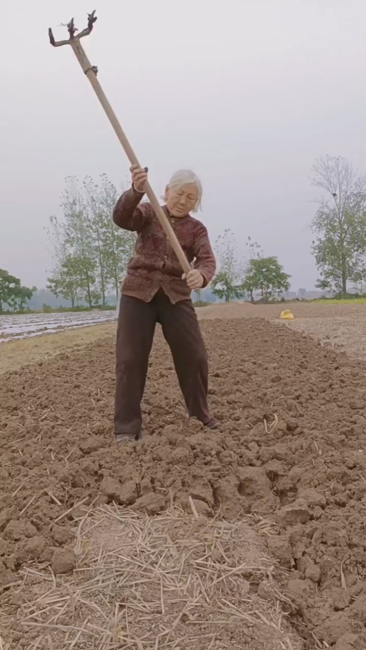 锄禾日当午汗滴禾下土老人已年过7旬还在田间真的心疼啊