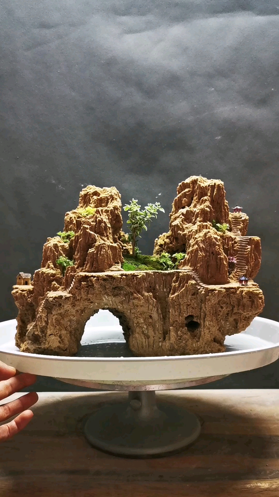 吸水石假山盆景新作欣赏《双子峰》