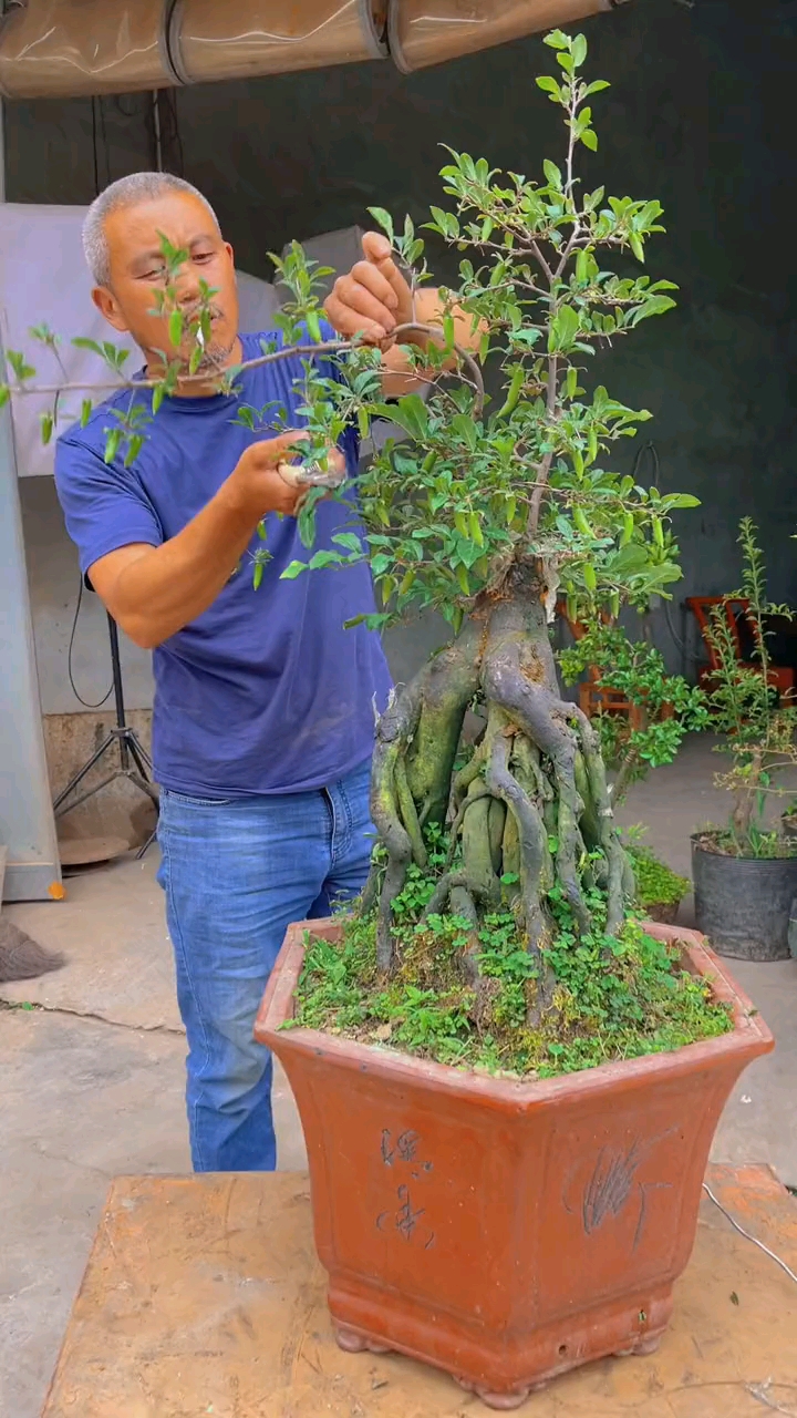 原来这就是梦之雫