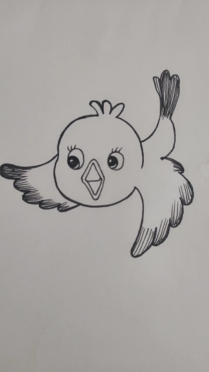 简笔画画画小鸟简笔画简单易学哦