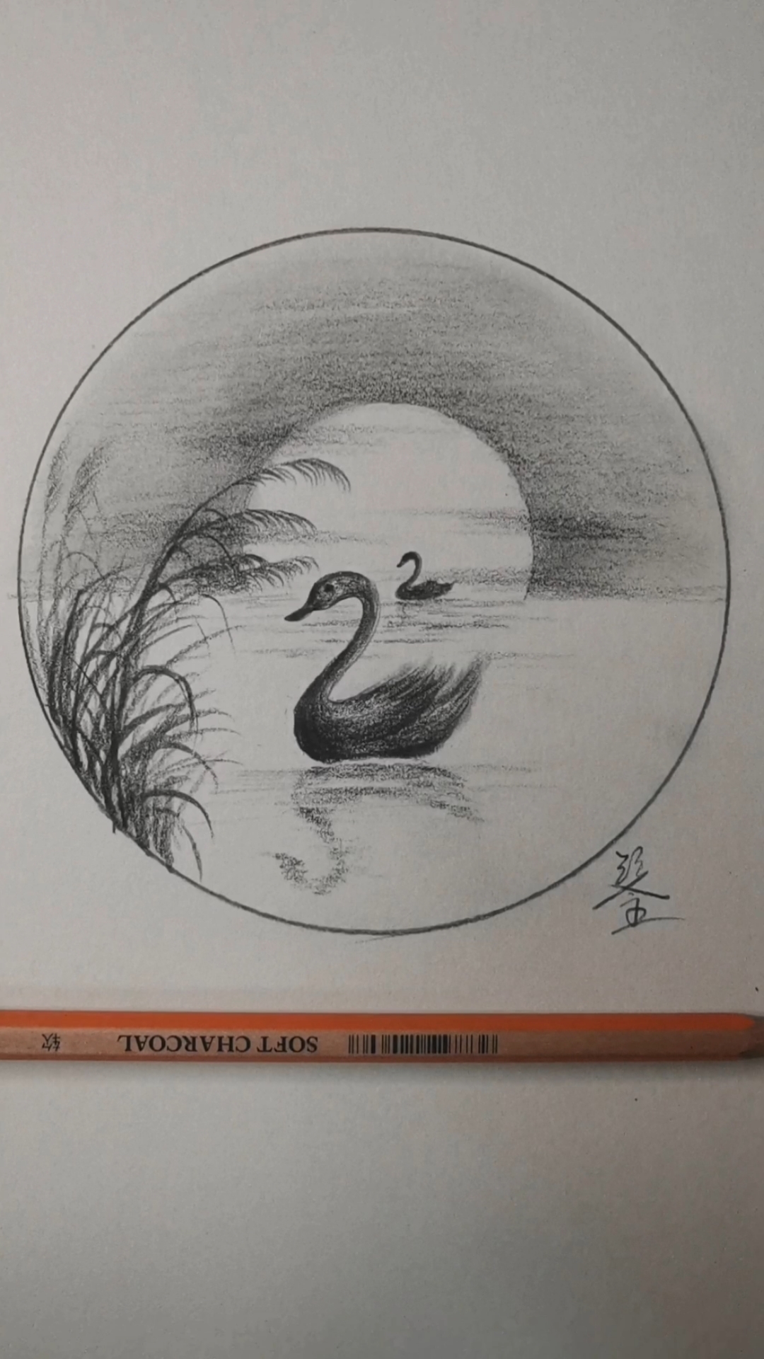 鹅的素描简笔画图片