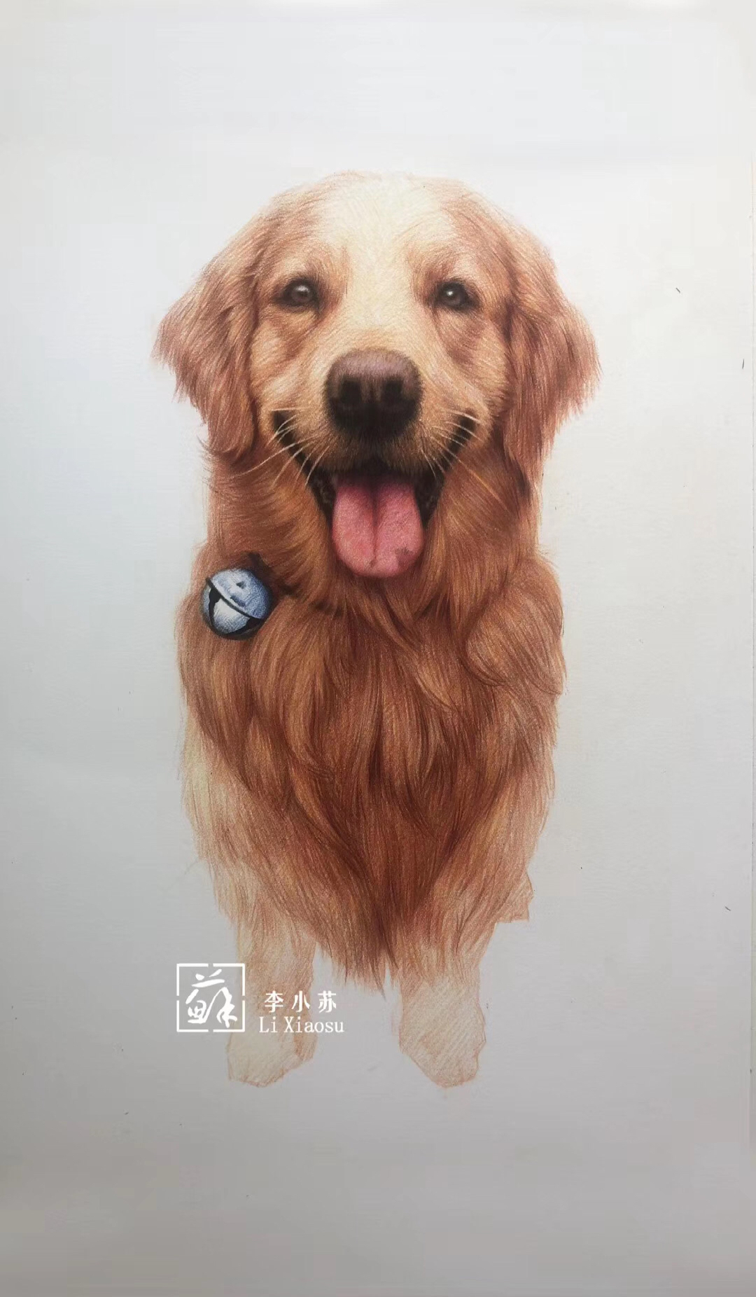 彩铅画#彩铅动物金毛