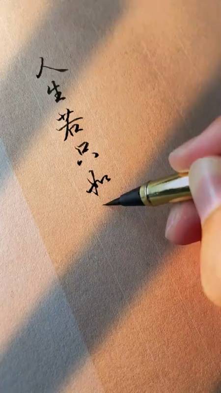 手写文字#人生若只如初见!-度小视