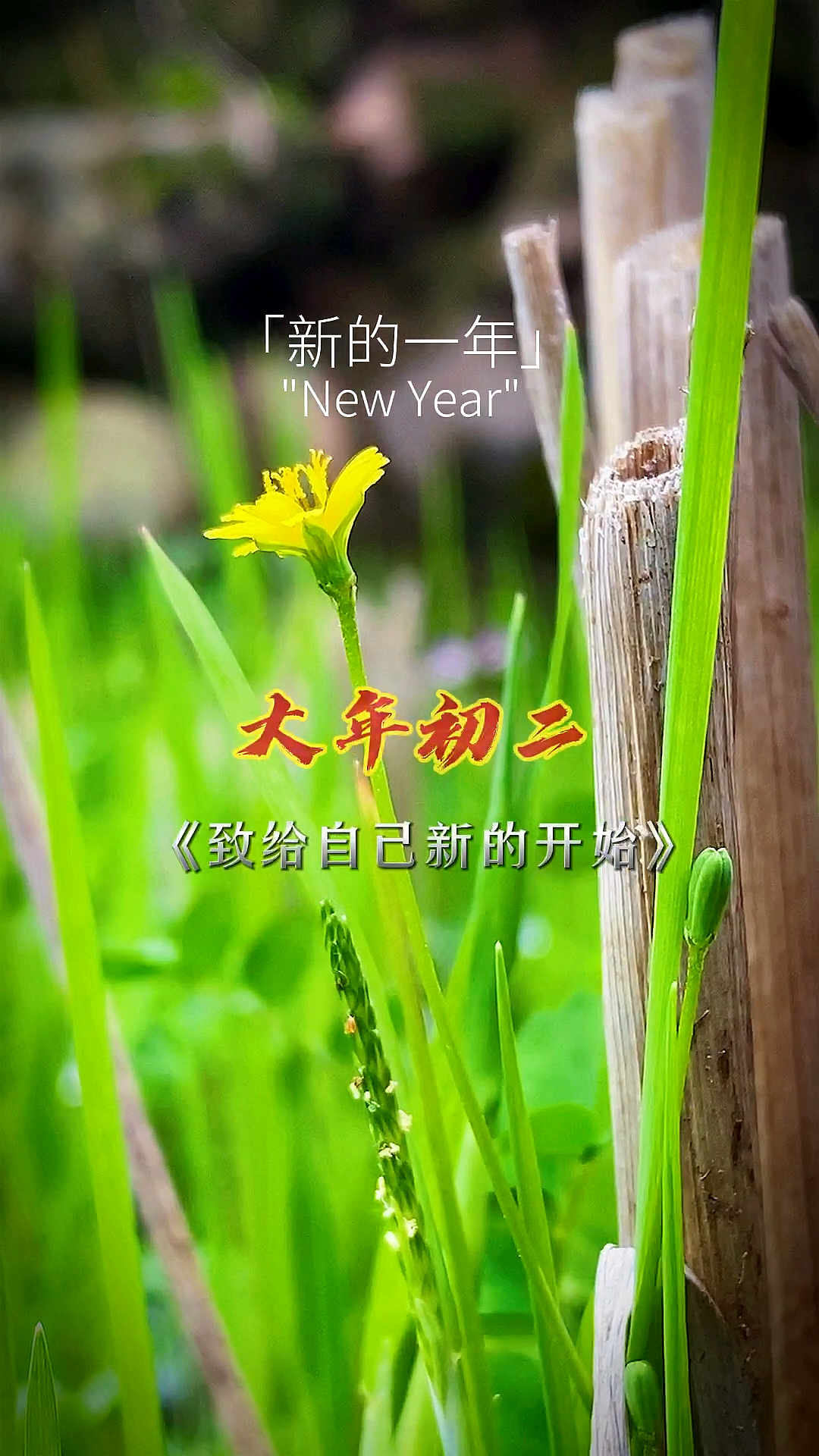 2021我的心愿#致给自己,新的一年,新的开始