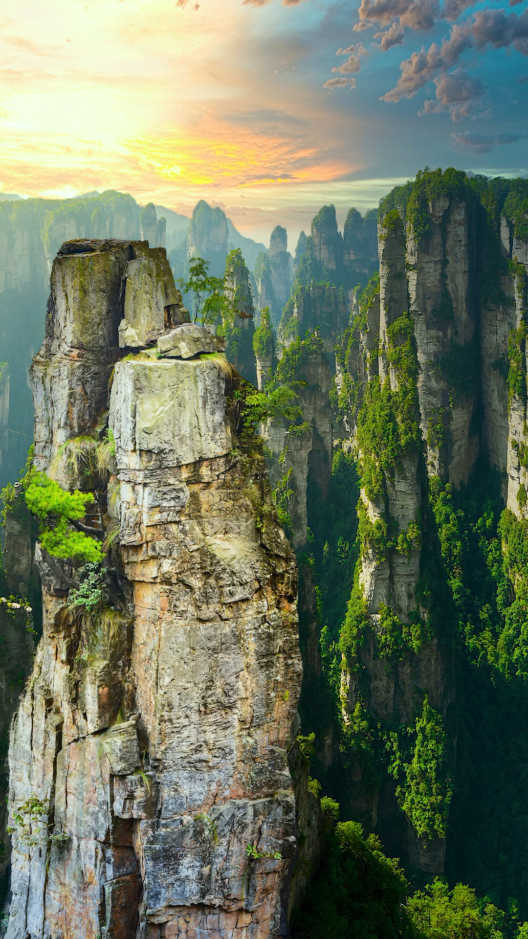 张家界#山峰是张家界曼妙而风情的姿体,云雾是峰林绮丽的风衣.