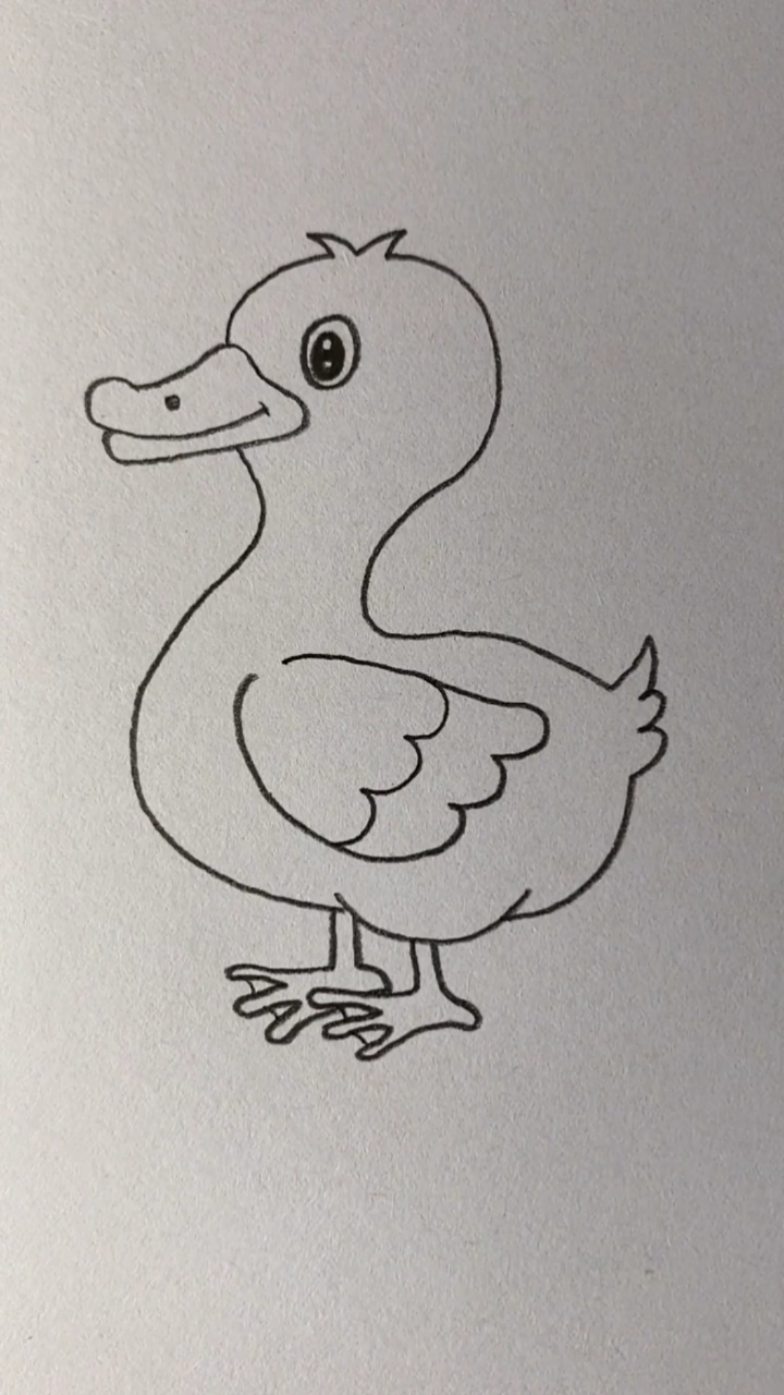 画画原来如此简单画可爱小鸭子