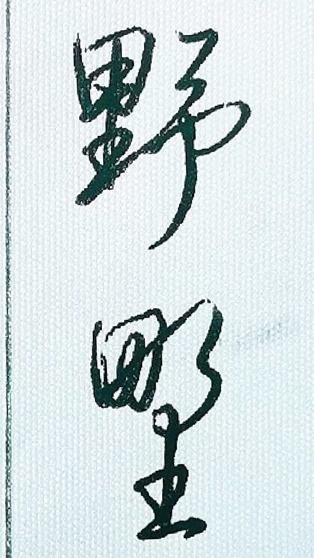 破壳计划#"野"字的行书和草书写法-度小视