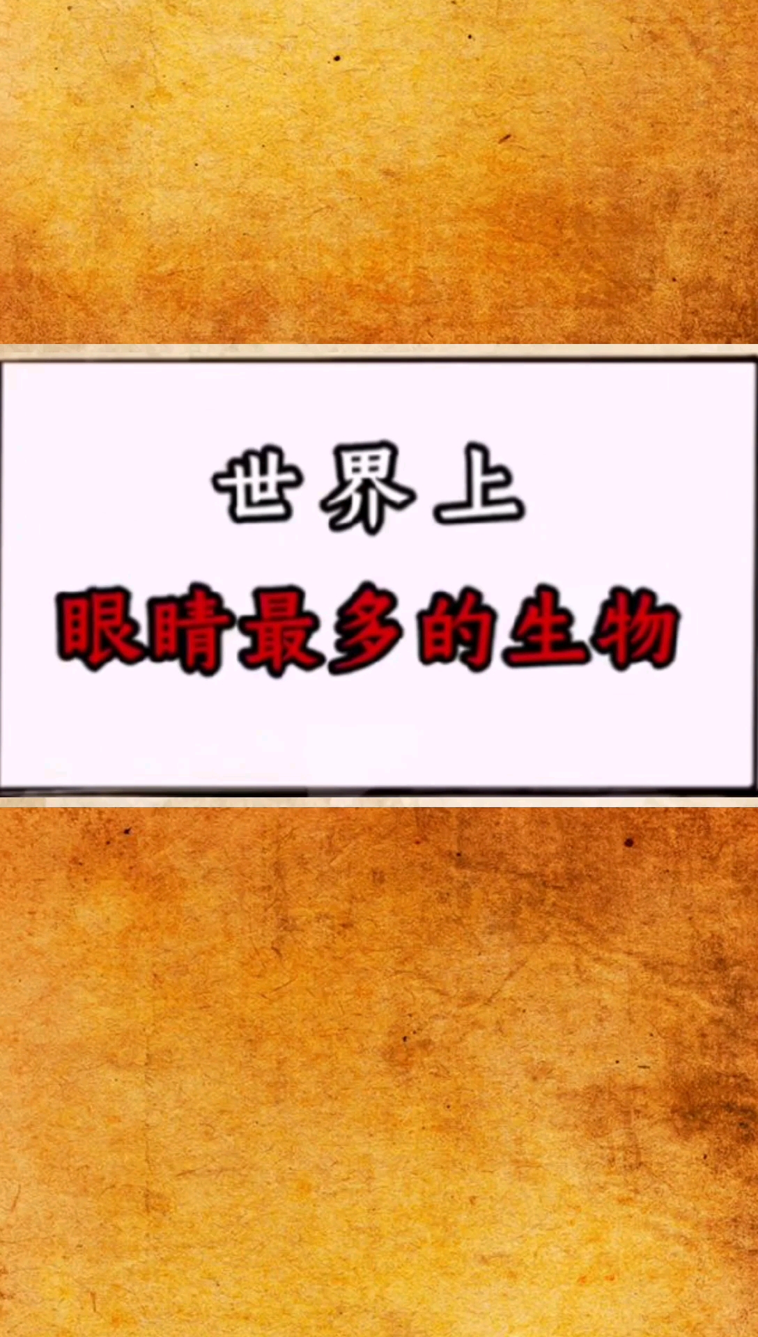 世界上眼睛最多的生物,拥有200多双眼睛