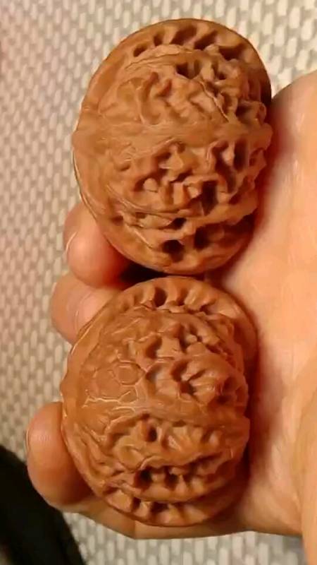 文玩核桃#极品宫灯狮子头,边43肚40喜欢的双击加关注!