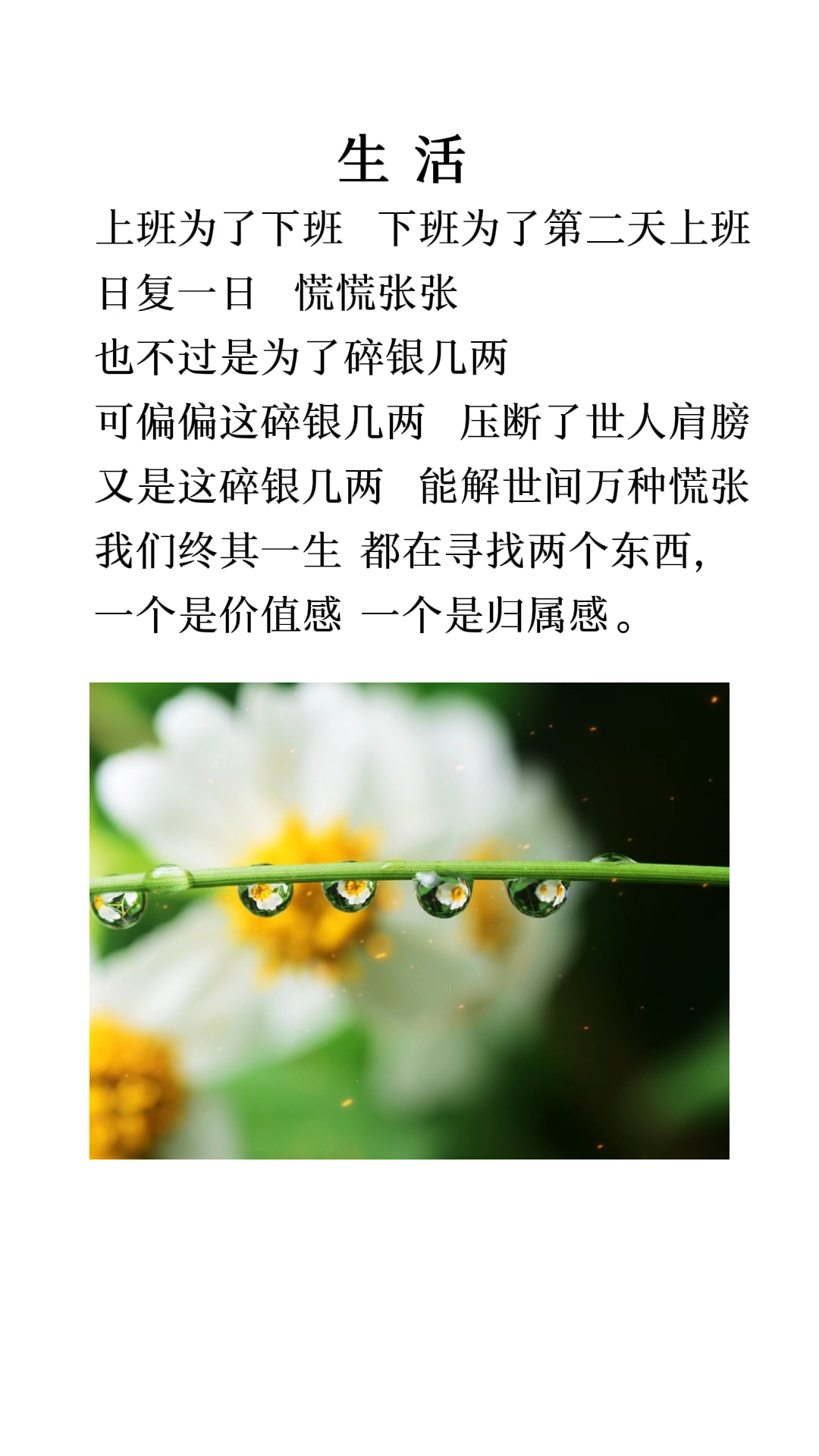 情感故事#我们终其一生,都在寻找两个东西,一个是价值感,一个是归属