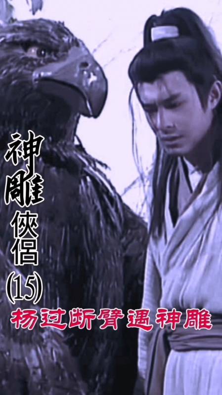 神雕侠侣#神雕侠侣:杨过断臂遇神雕