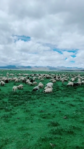 西藏#哲古草原,随手一拍都是壁纸