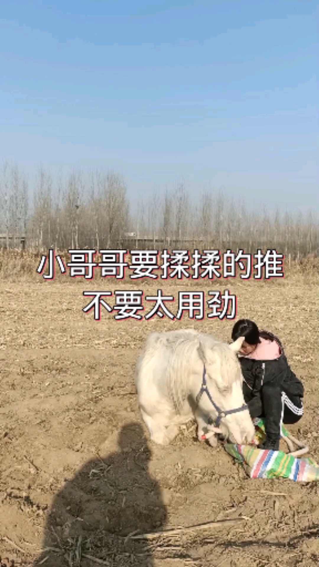 小小爱宠萌化你#小哥哥要揉揉的推,不要太用劲