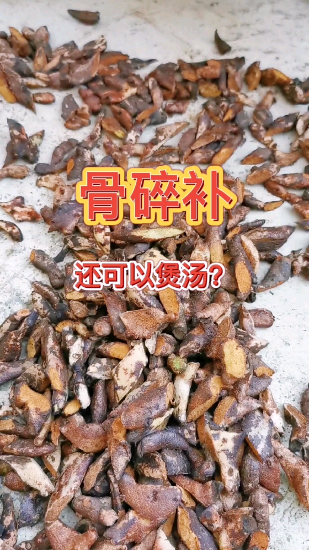破壳计划贵州的骨碎补加工前还要用火烧很多网友表示不解