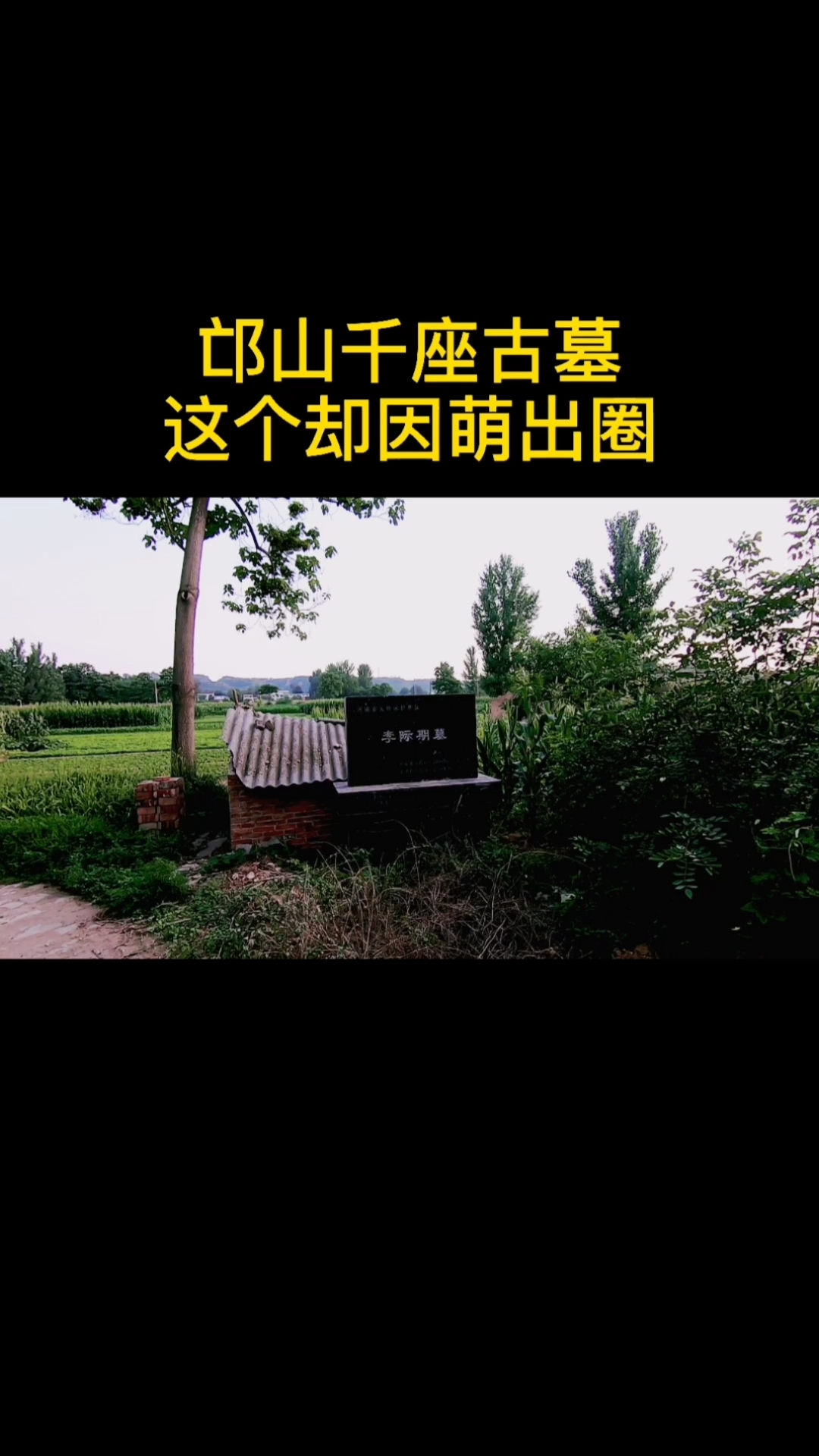 你好,夏天#访古探墓no7:清初兵部尚书李际期墓,墓前石像生保存完好度