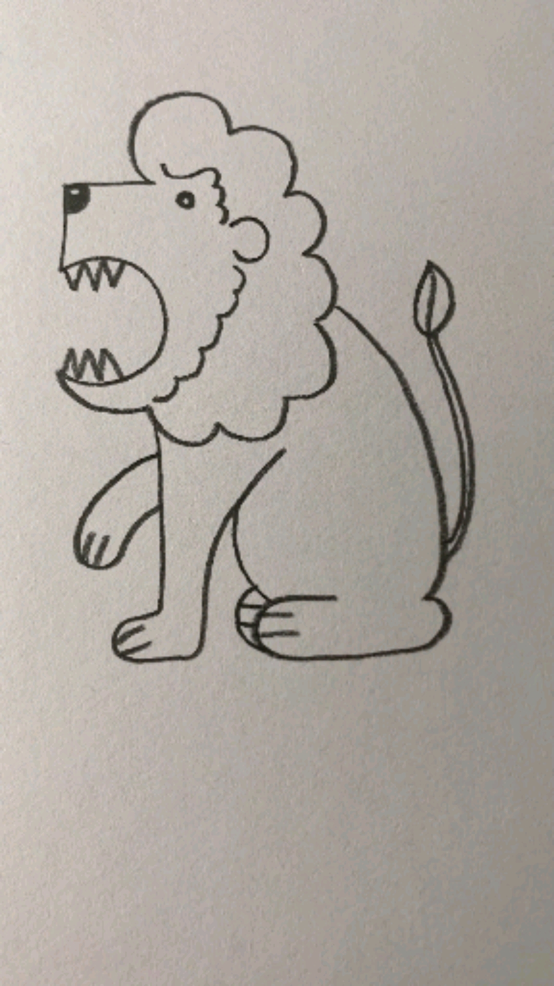 用数字5画一只狮子