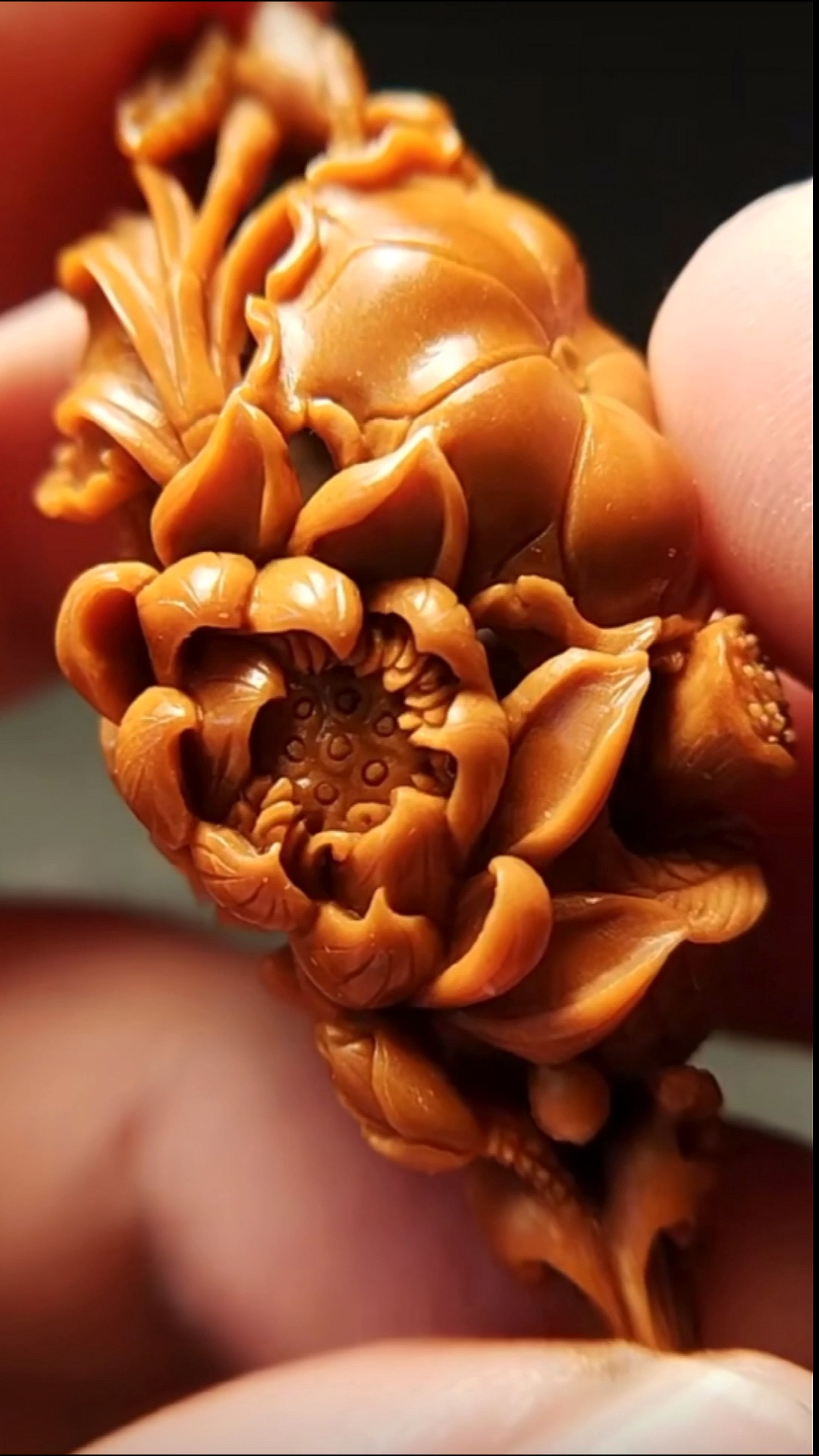 核雕#橄榄核雕,核雕荷塘月色,雕工叹为观止,非常漂亮的荷花荷 !!