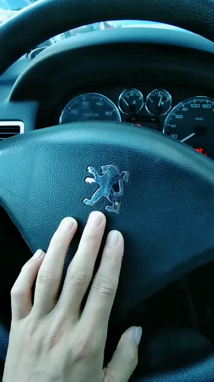 同样是带动物的车,为什么人家豹子,马,老虎都比你优秀?