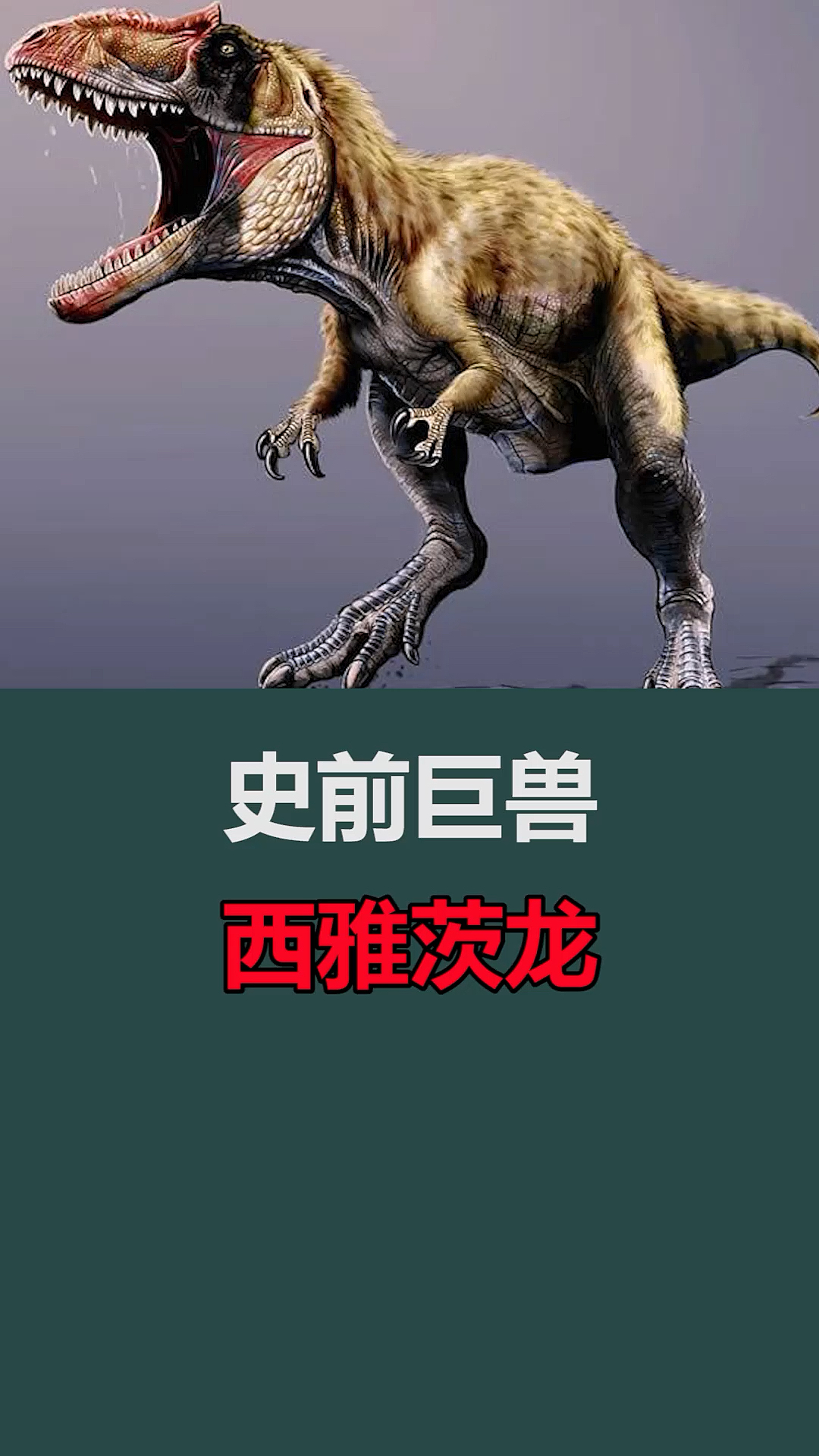 恐龙#西雅茨龙