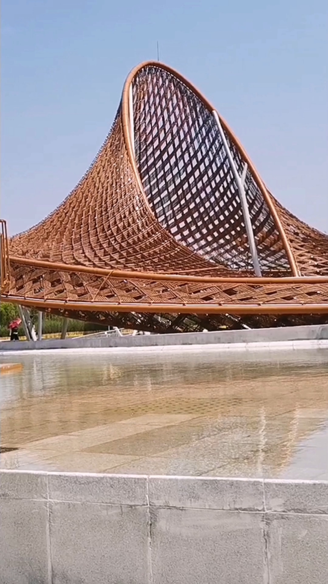 旅游进行时#上海花博园竹藤馆