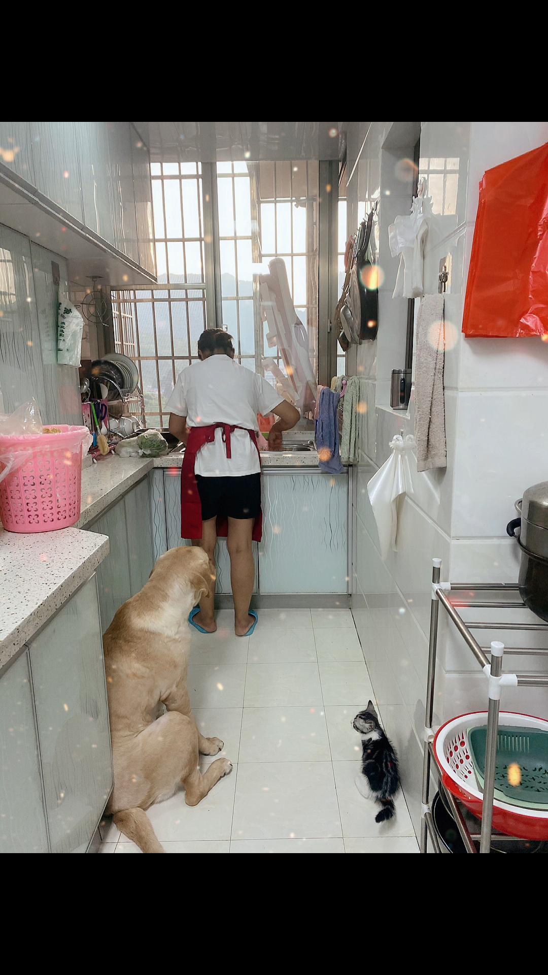 妈妈在做饭我突然走进来看见这一幕真的很庆幸自己生活在一个有爱的大