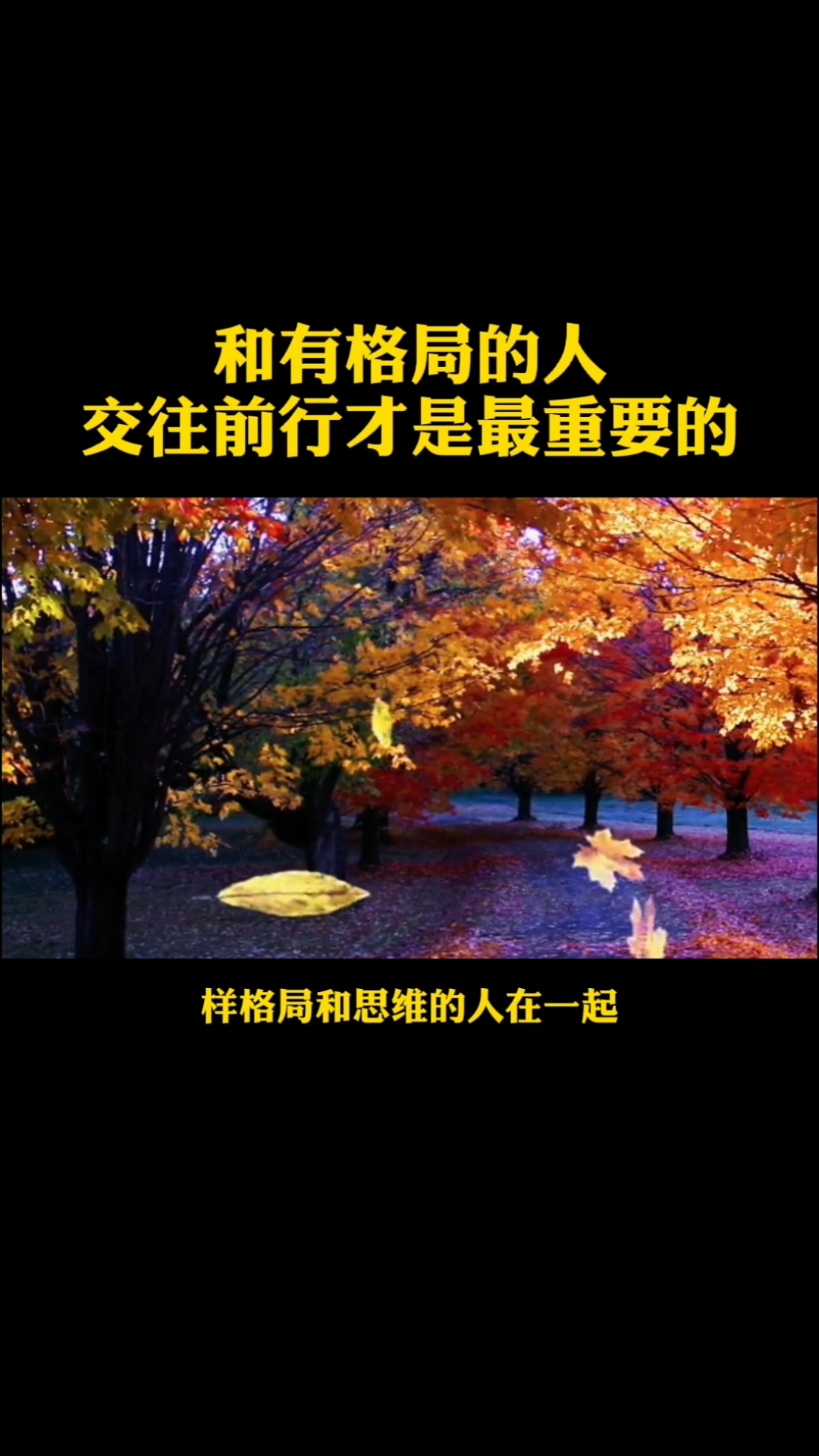 全民正能量#和有格局的人交往一起前行才是最重要的
