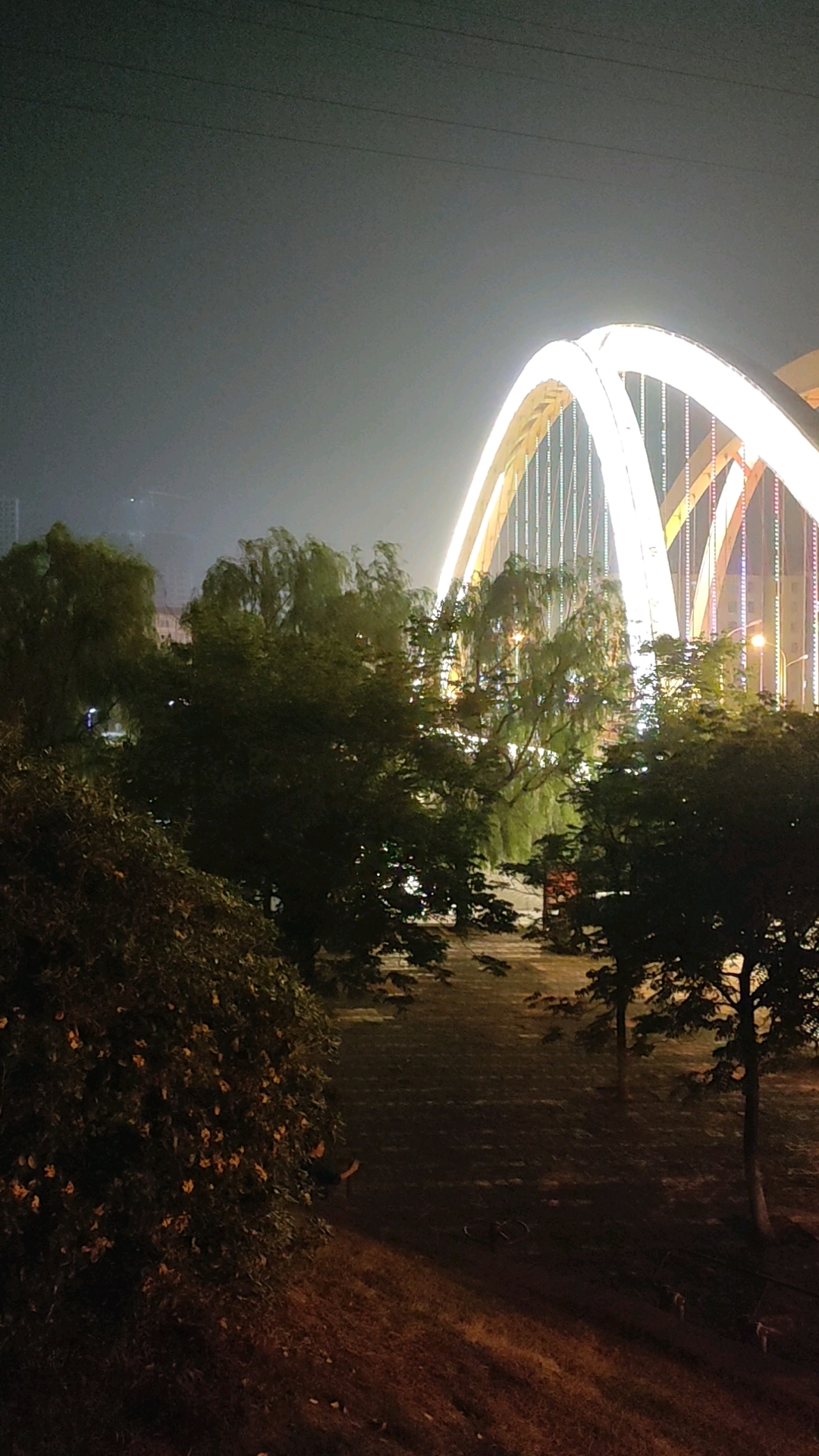 平頂山印象#平頂山誠樸路湛河橋夜景-度小視