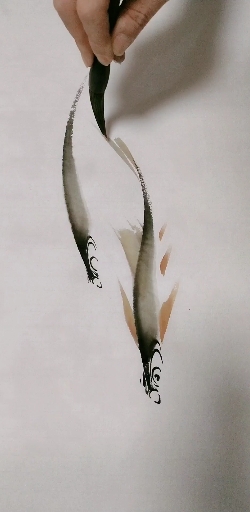 教你画一对白条鱼