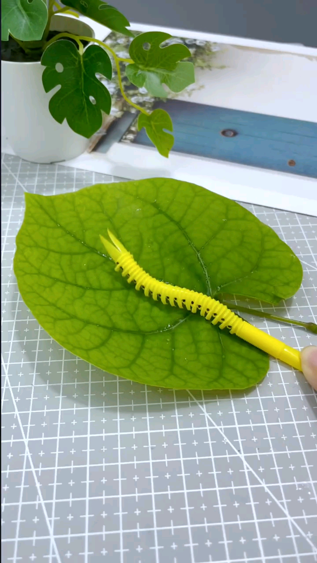 手工制作这个吸管做的毛毛虫太逼真了吧做一个给孩子玩玩吧