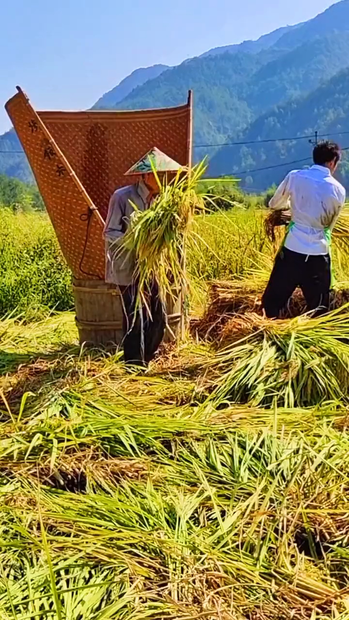 是我們鄉下,山溝溝裡,沒有大城市喧囂和繁華,有喜歡這樣的農村生活嗎?